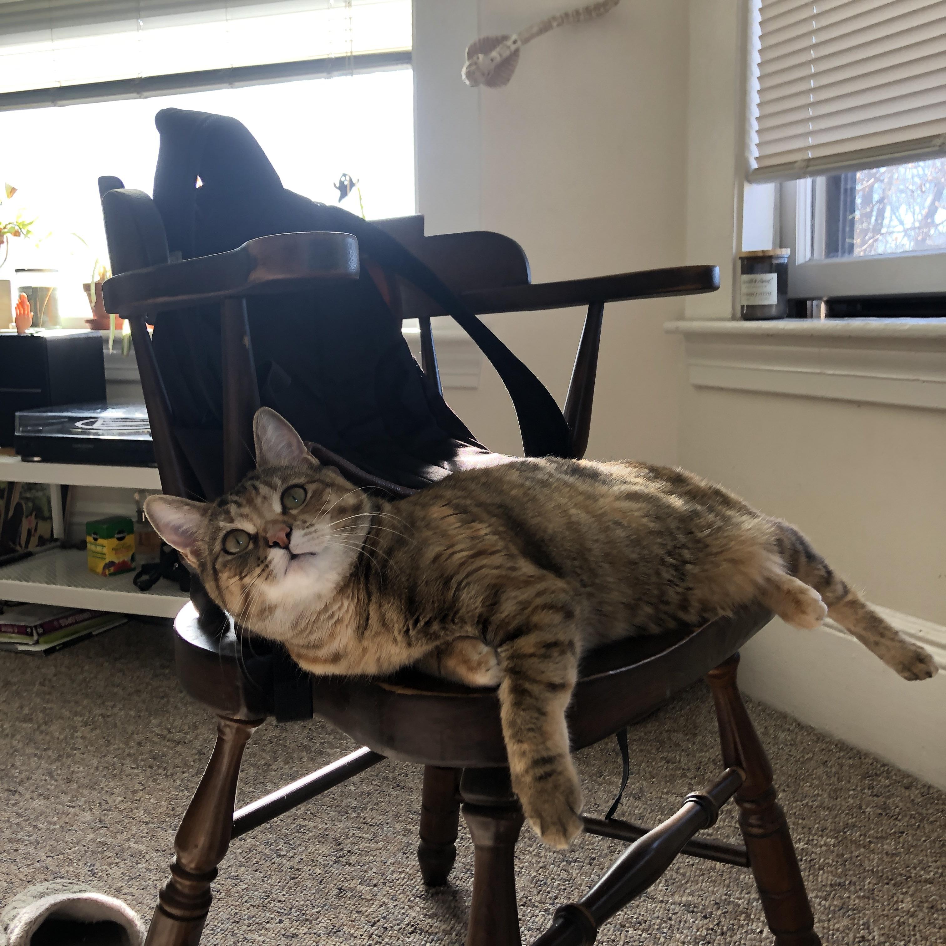 铁血雄鹿用窒息防守绞杀老鹰,关键先生乔治·希尔成胜负手