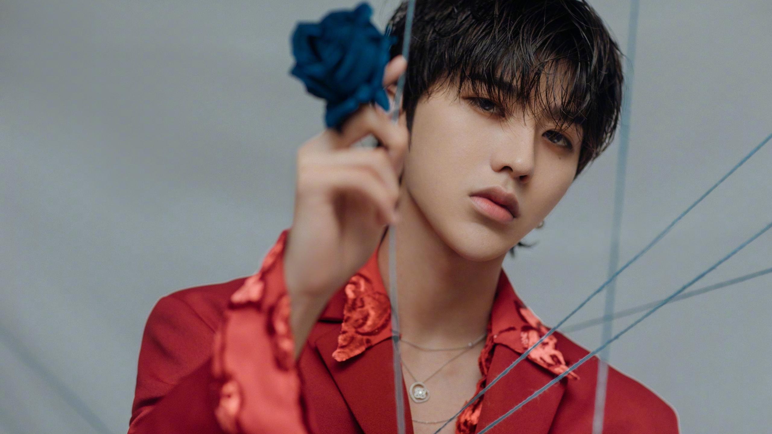 当东方的坚硬遇见西方的魔法,广厦之盾在哈利伯顿的星芒下沉思