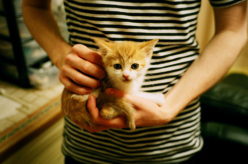 跨越大陆的证明,当福登在亚特兰大遇见智利