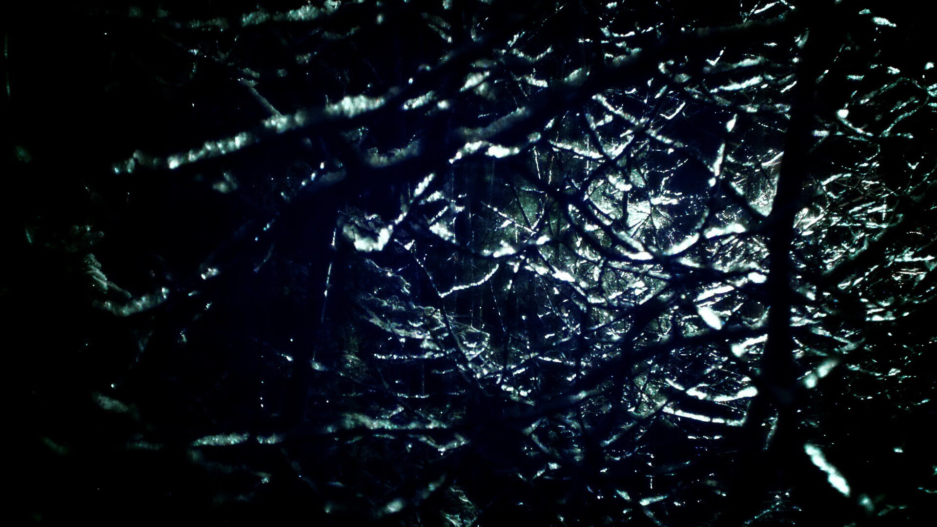 楚阿梅尼独奏会，摩纳哥的意外盛宴与一人的优雅杀戮