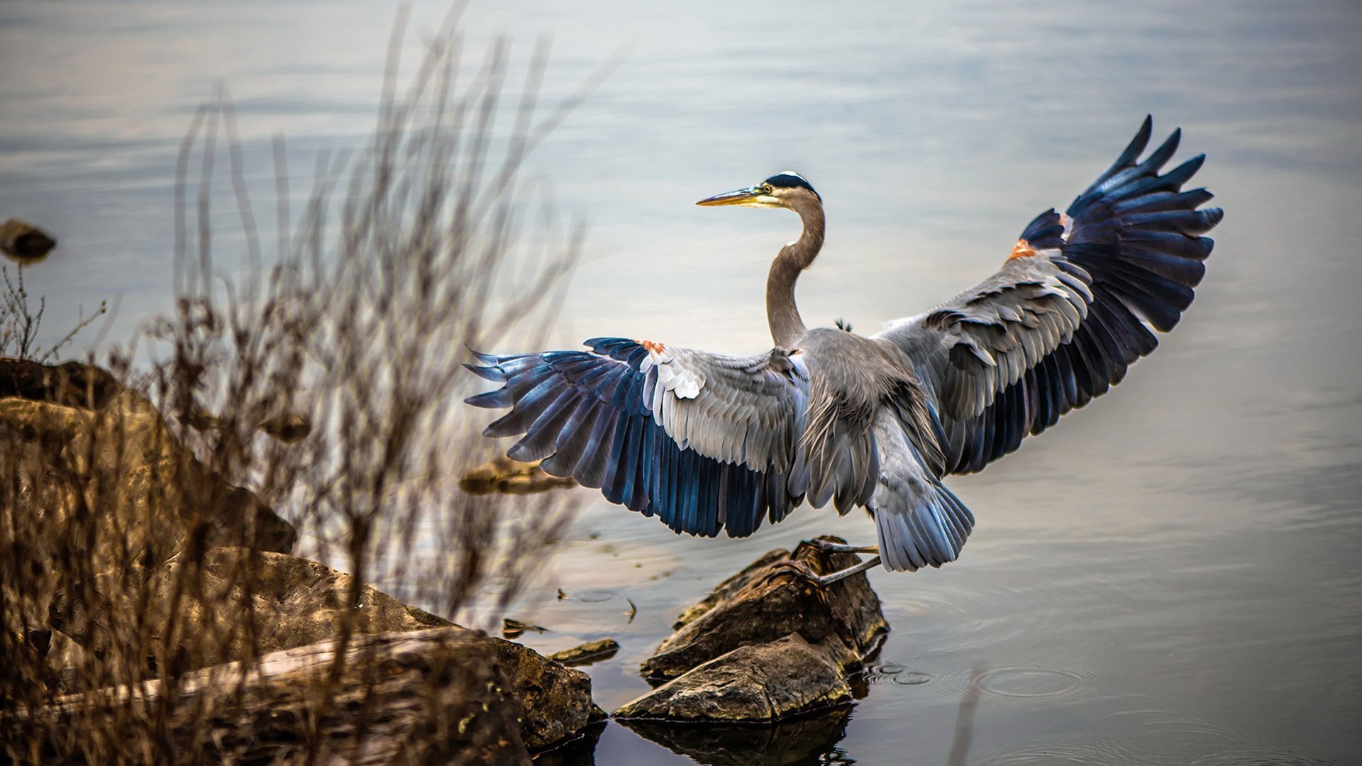 门神与雨林的共振，当南非碾压摩洛哥的声浪穿透2026