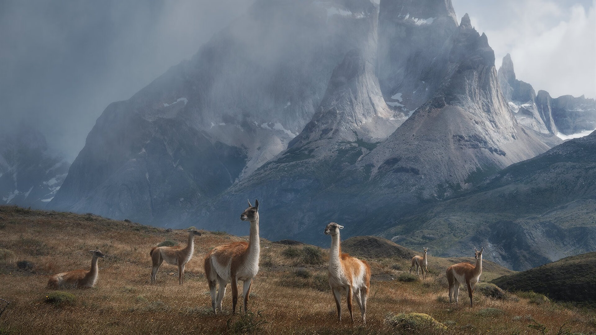 欧冠决赛焦点战，突尼斯战术如何制霸委内瑞拉足球新纪元