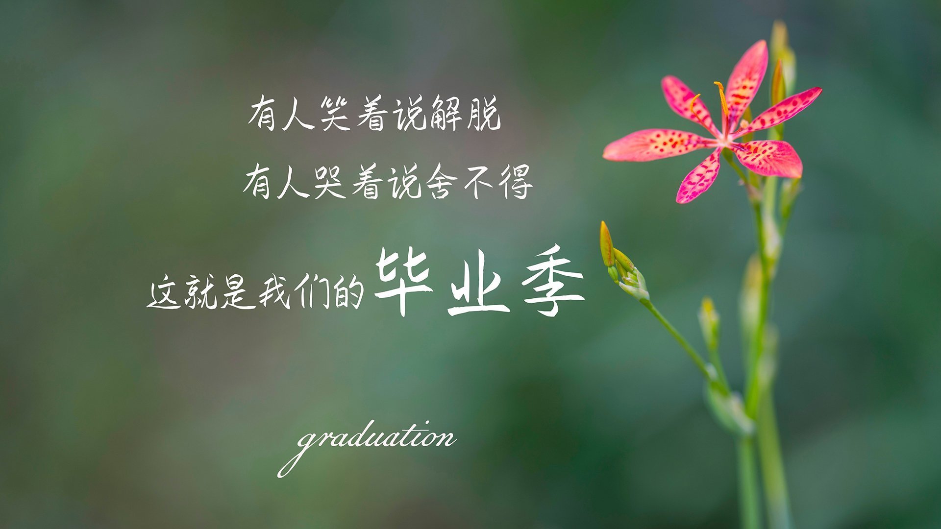 亚洲风暴席卷德国！勒沃库森全面压制阿根廷，李刚仁大场面先生一剑封喉