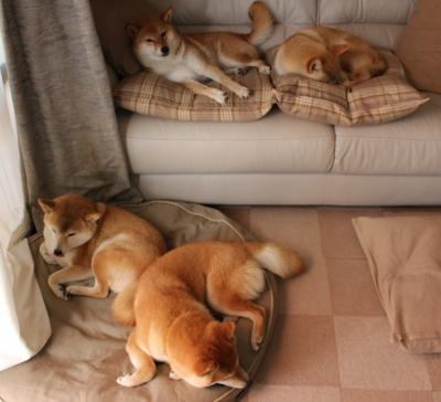 神来之笔！哥伦比亚闪电战击溃贝蒂斯，金玟哉末节统治攻防