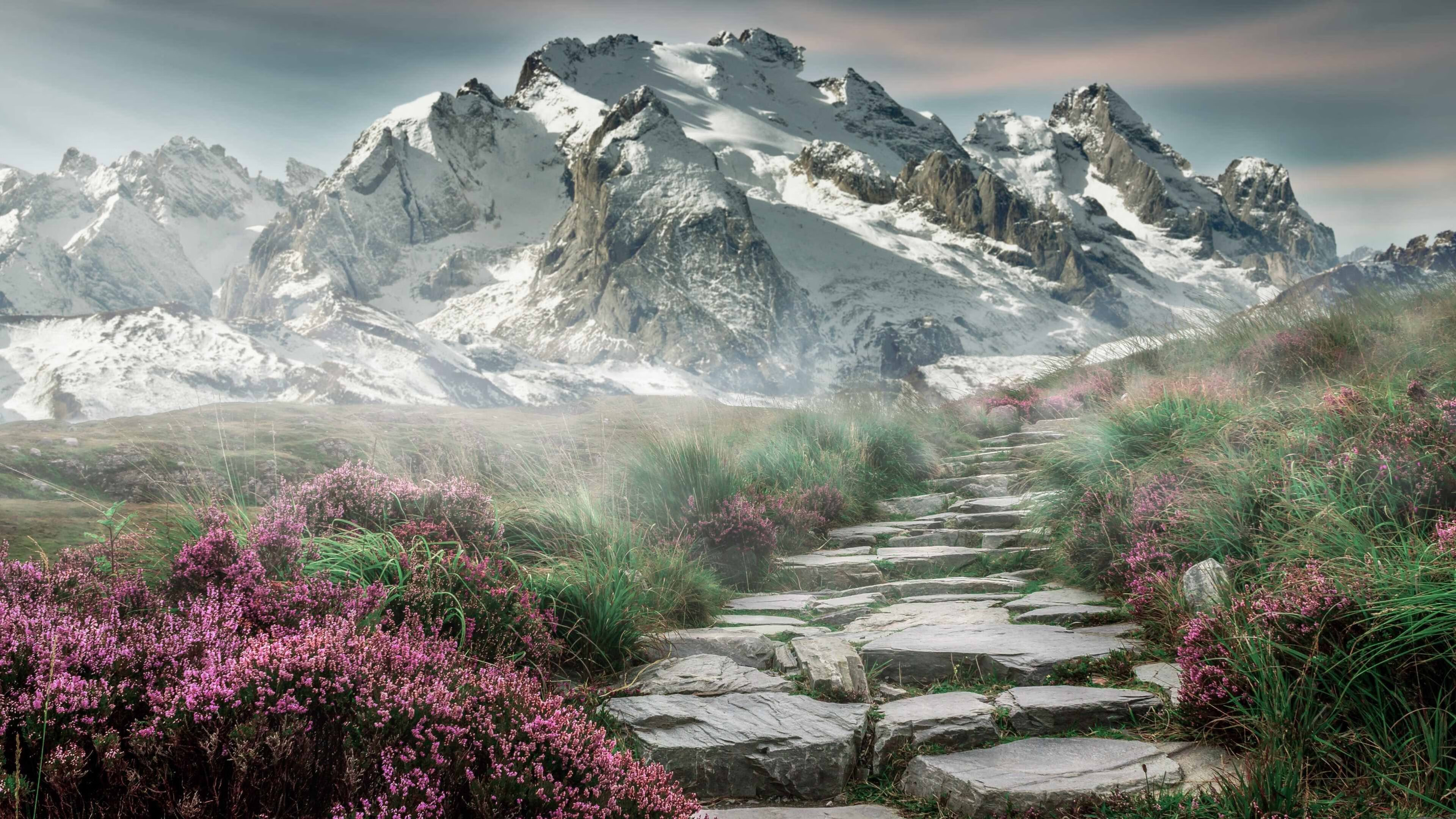 扩展思维后的文章标题