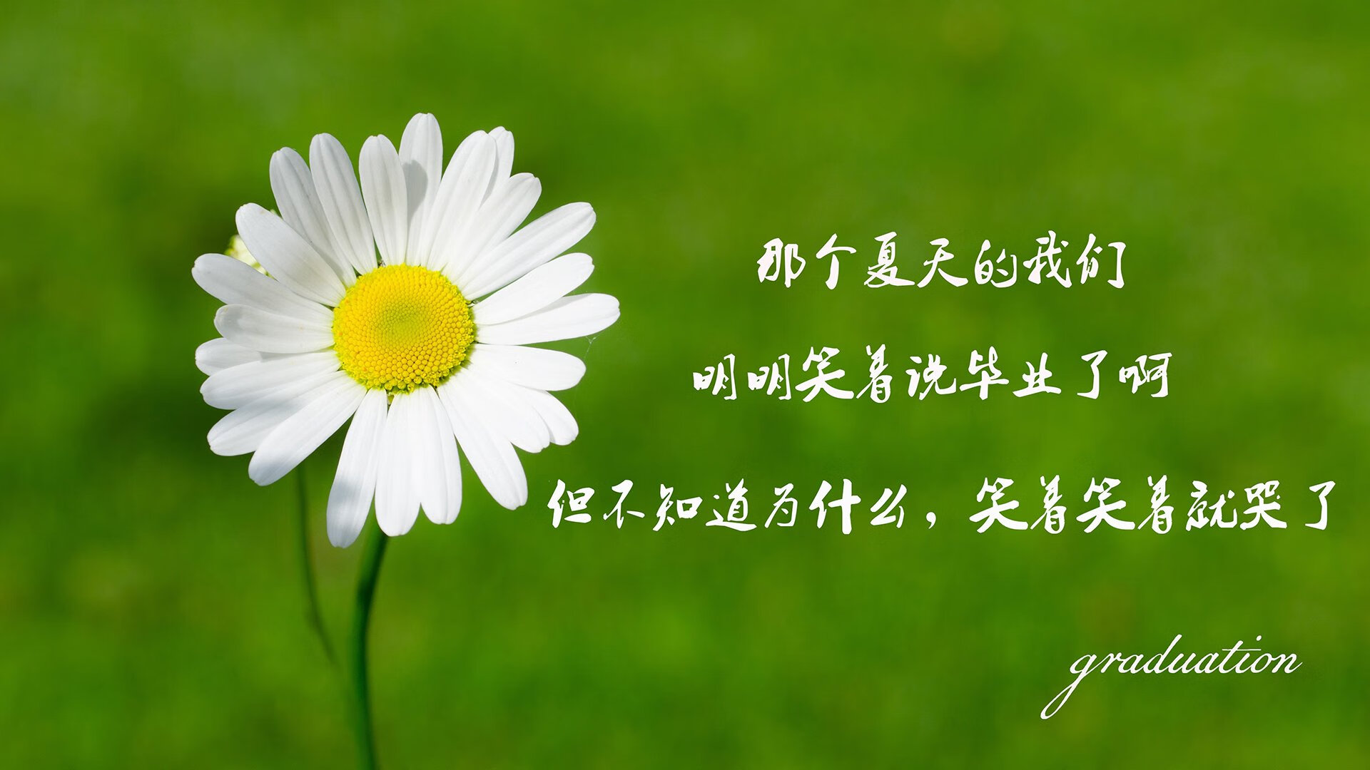 你给出的两个关键词分属不同领域—德甲争冠战是足球范畴,而莫兰特是篮球巨星。若强行融合,会丧失专业性