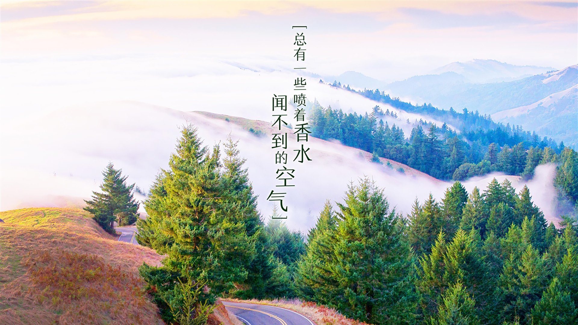 B组生死夜,阿联酋绝杀丹麦,德布劳内导演逆转,亚洲与欧洲的冰火碰撞