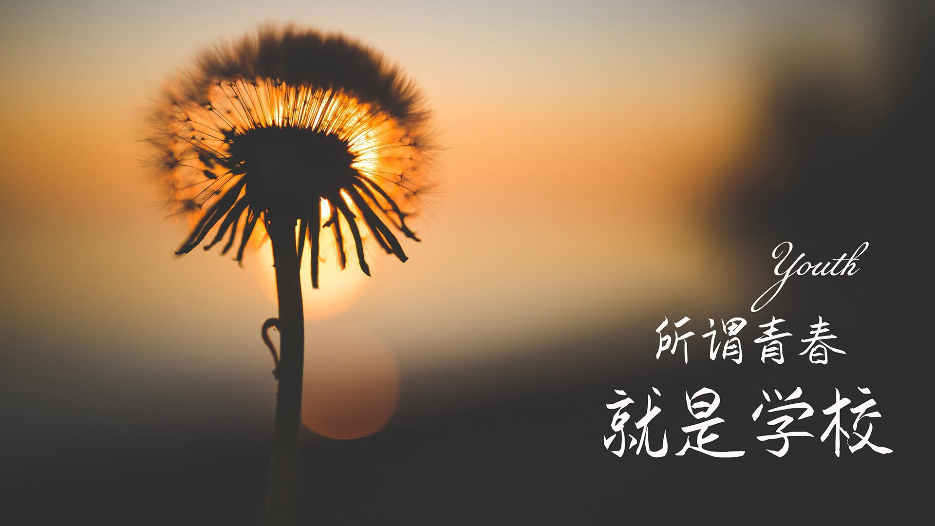 当节奏成为唯一的战场，拉什福德与厄瓜多尔如何定义2026世界杯的唯一性