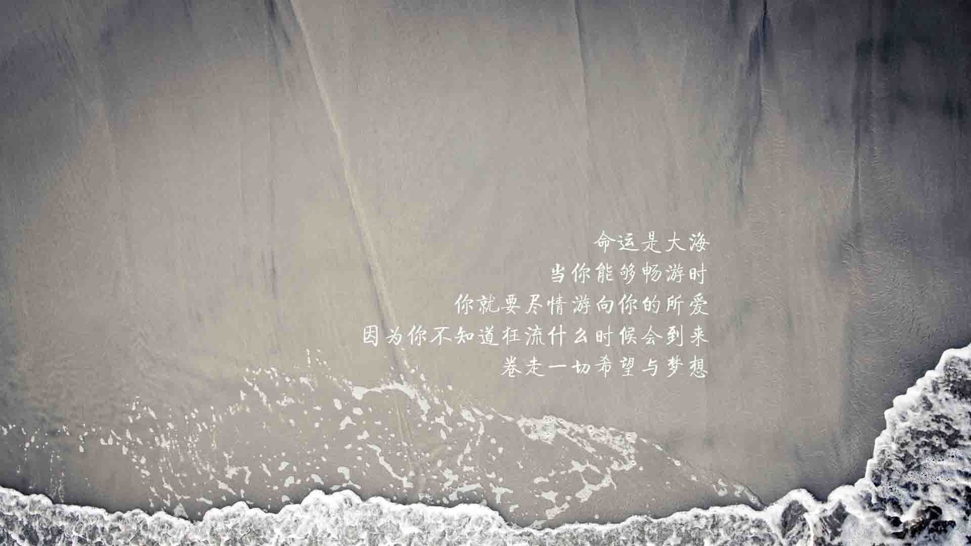 非常有画面感和戏剧张力。让我们先扩展思维,为这场关键战役构思一个独特的标题