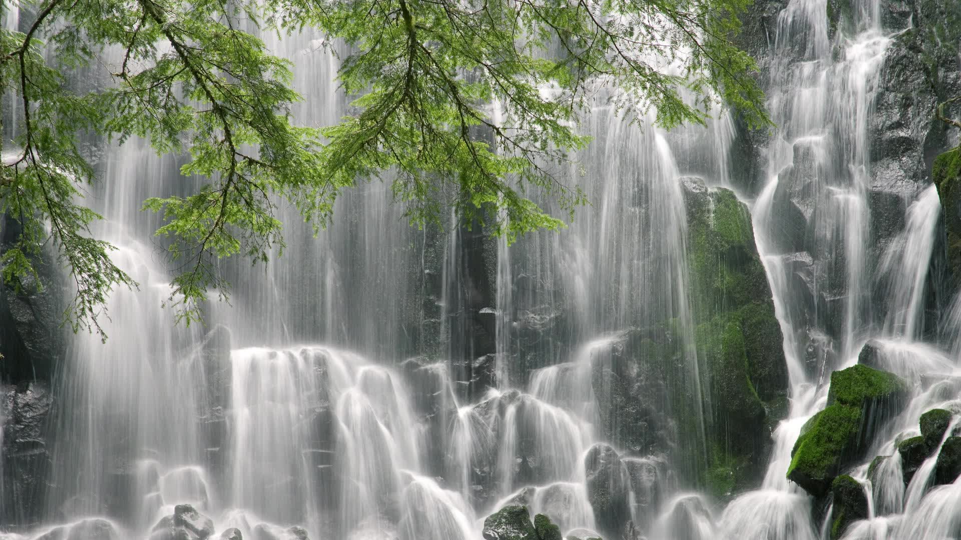 以下是为你构思的文章标题与内容