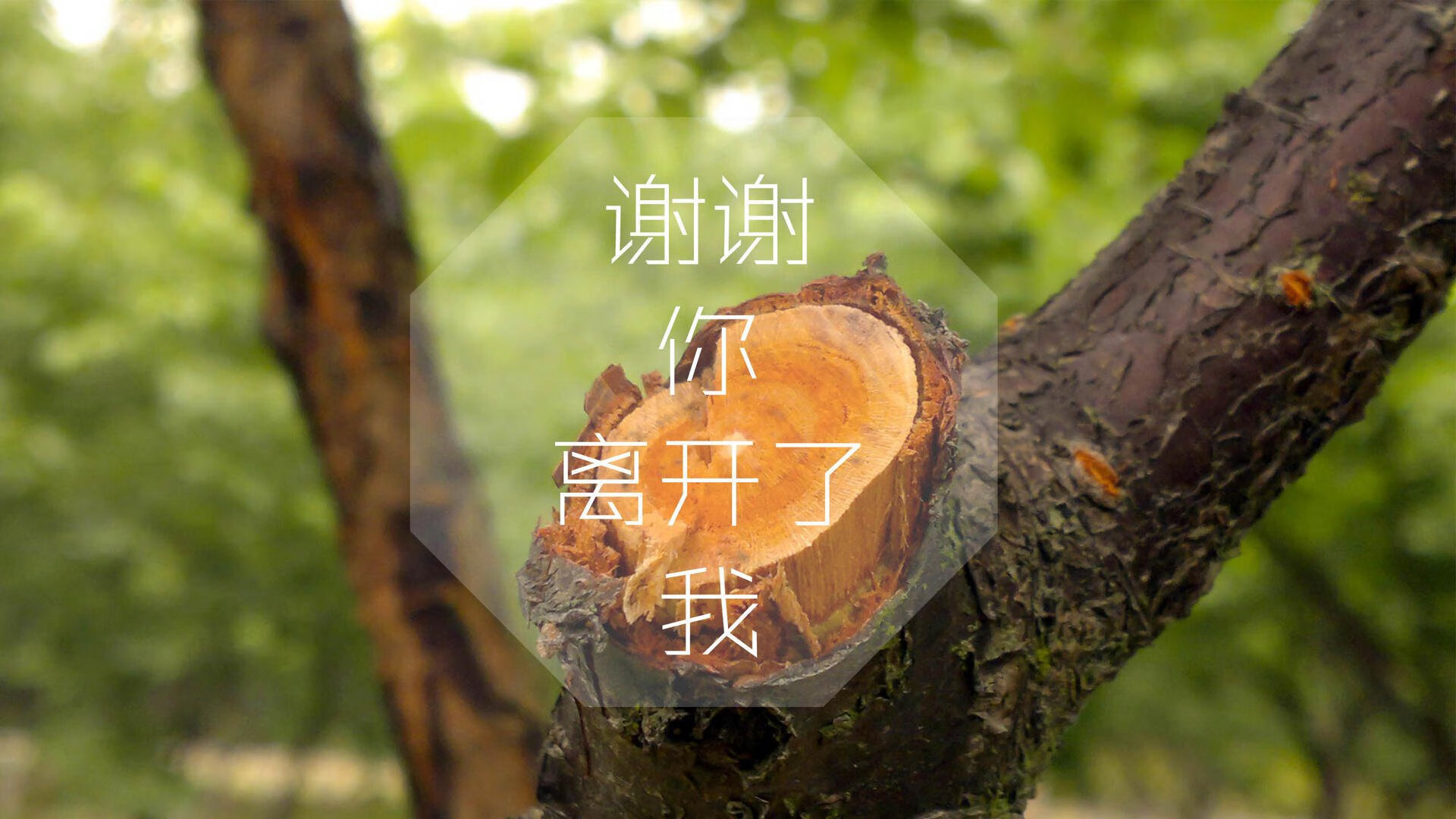蓝衣在绿茵,一场定义唯一性的中场铁幕与边路闪电