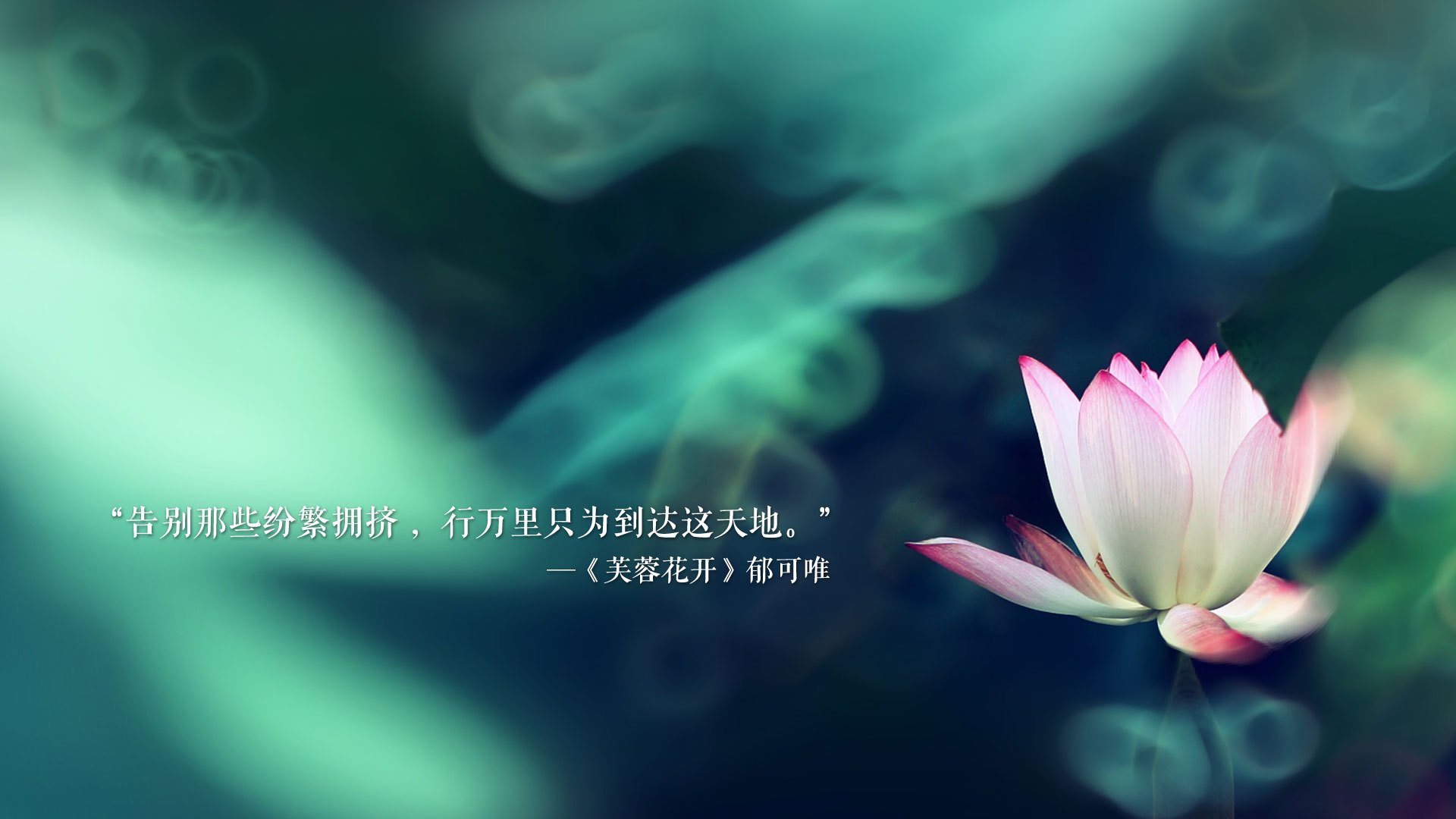 日耳曼铁骑碾碎袋鼠图腾,福登两传一射导演2026世界杯C组最窒息压制